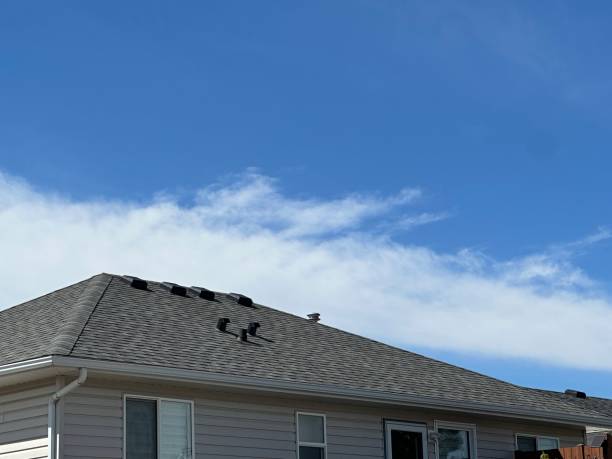 Best Chimney Flashing Repair  in Plainview, TX